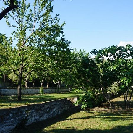 Kavet Palio Cottage PalaiónTsiflíkion المظهر الخارجي الصورة