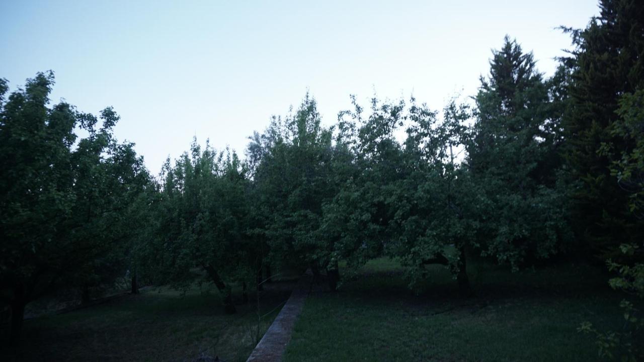 Kavet Palio Cottage PalaiónTsiflíkion المظهر الخارجي الصورة