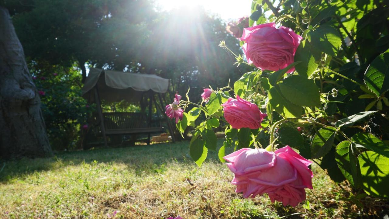 Kavet Palio Cottage PalaiónTsiflíkion المظهر الخارجي الصورة