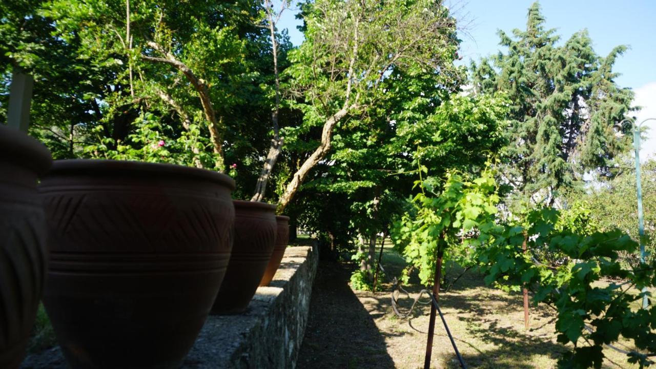 Kavet Palio Cottage PalaiónTsiflíkion المظهر الخارجي الصورة